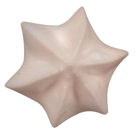 De Buyer Stainless Steel Star Nozzle (C6) - HAUSwares